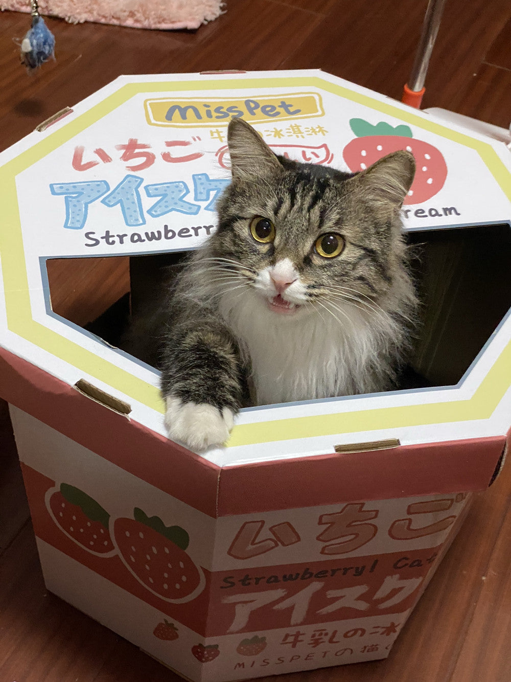 Cat resting inside the cardboard scratcher tunnel