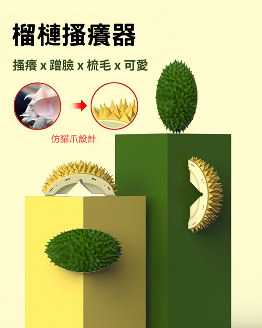 榴槤梳毛器