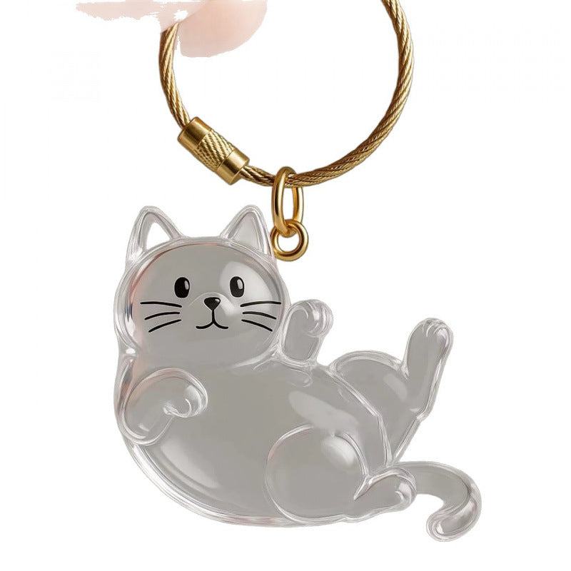 New Transparent Cat Hair Storage Box Cross-Border Decorative Capsule Bag Keychain Pendant Commemorative