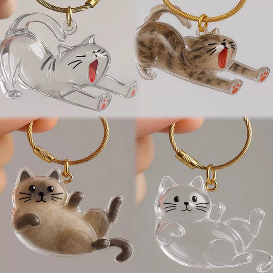New Transparent Cat Hair Storage Box Cross-Border Decorative Capsule Bag Keychain Pendant Commemorative