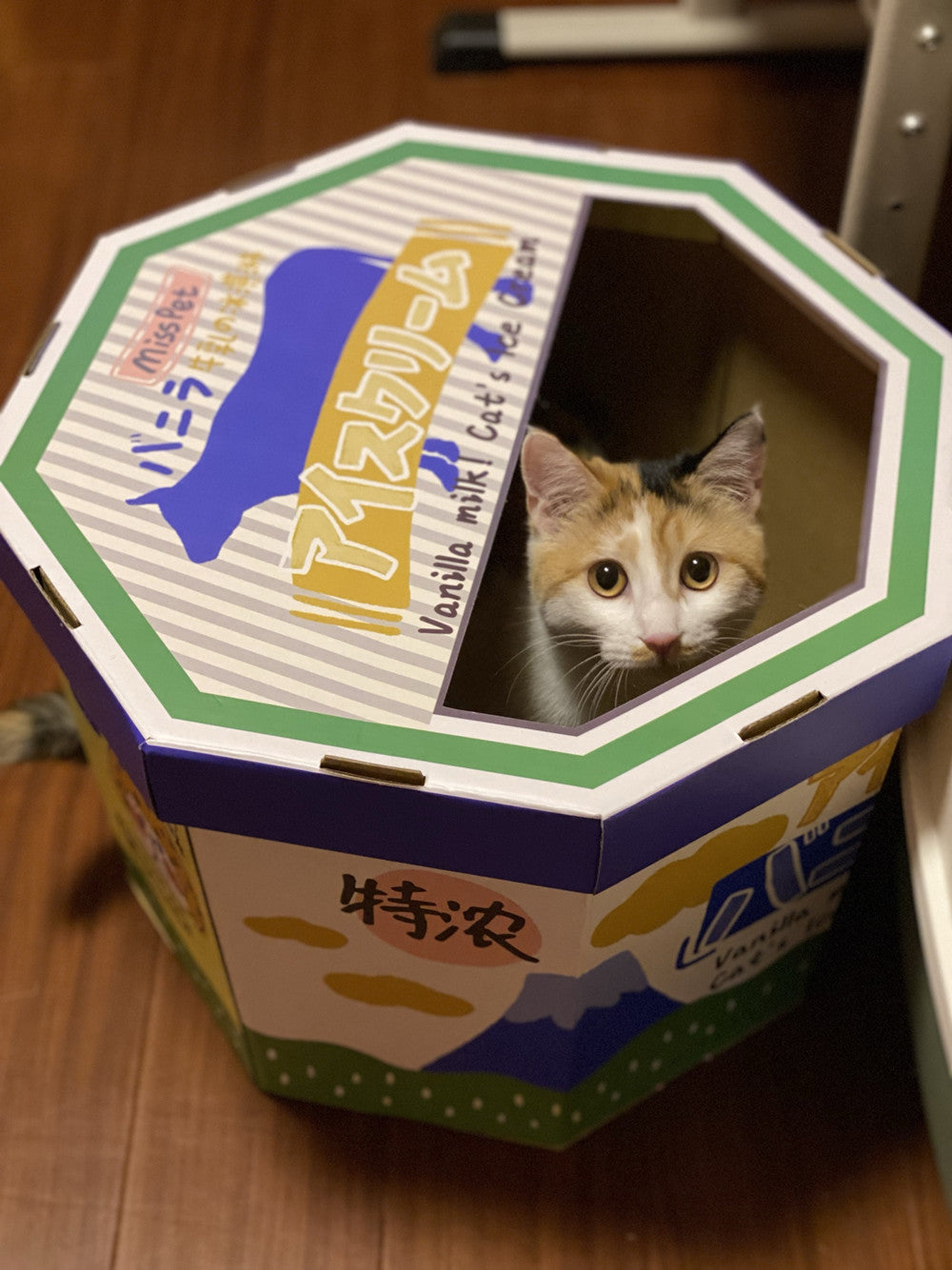 Cardboard cat scratcher in a living room setting