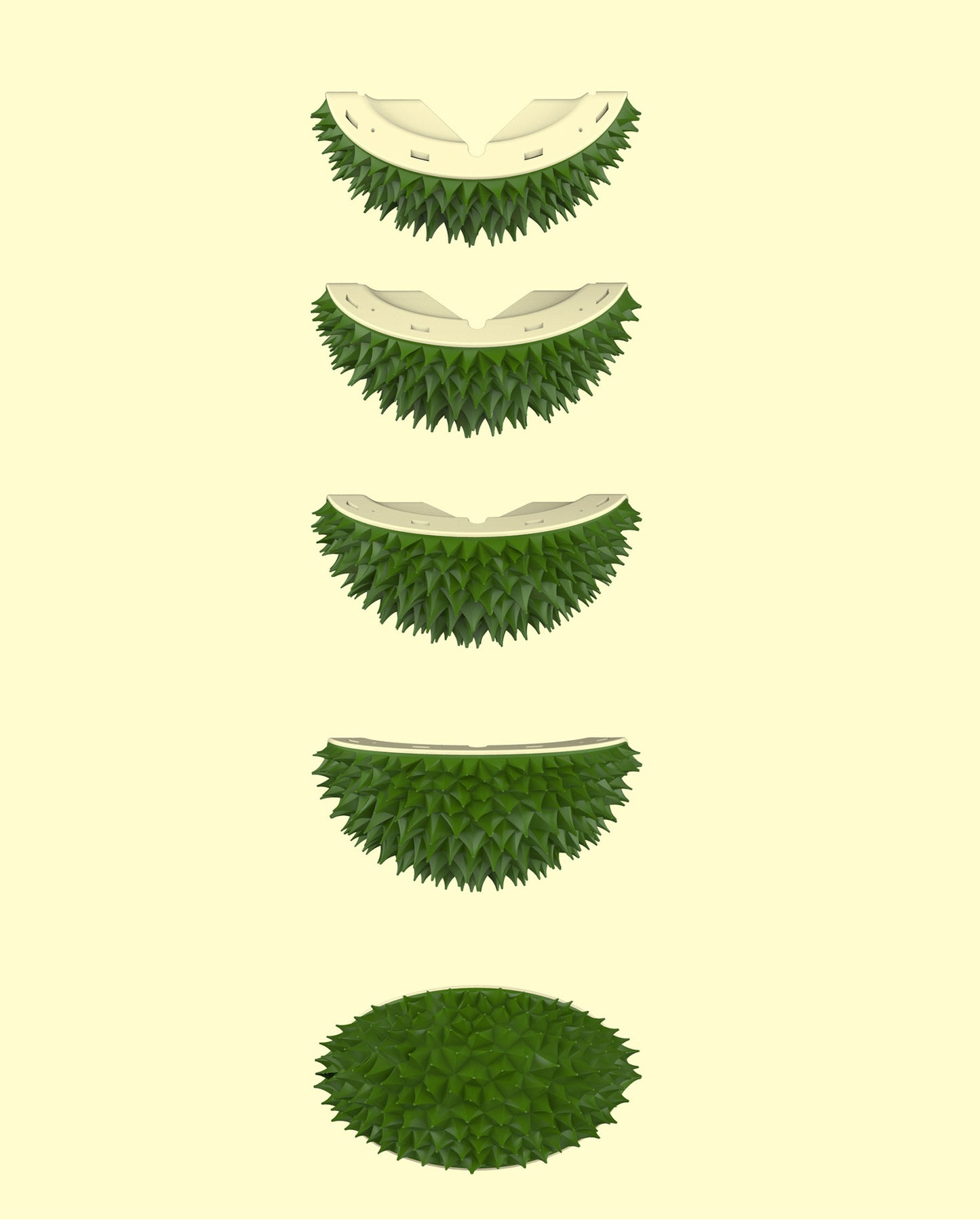 榴槤梳毛器
