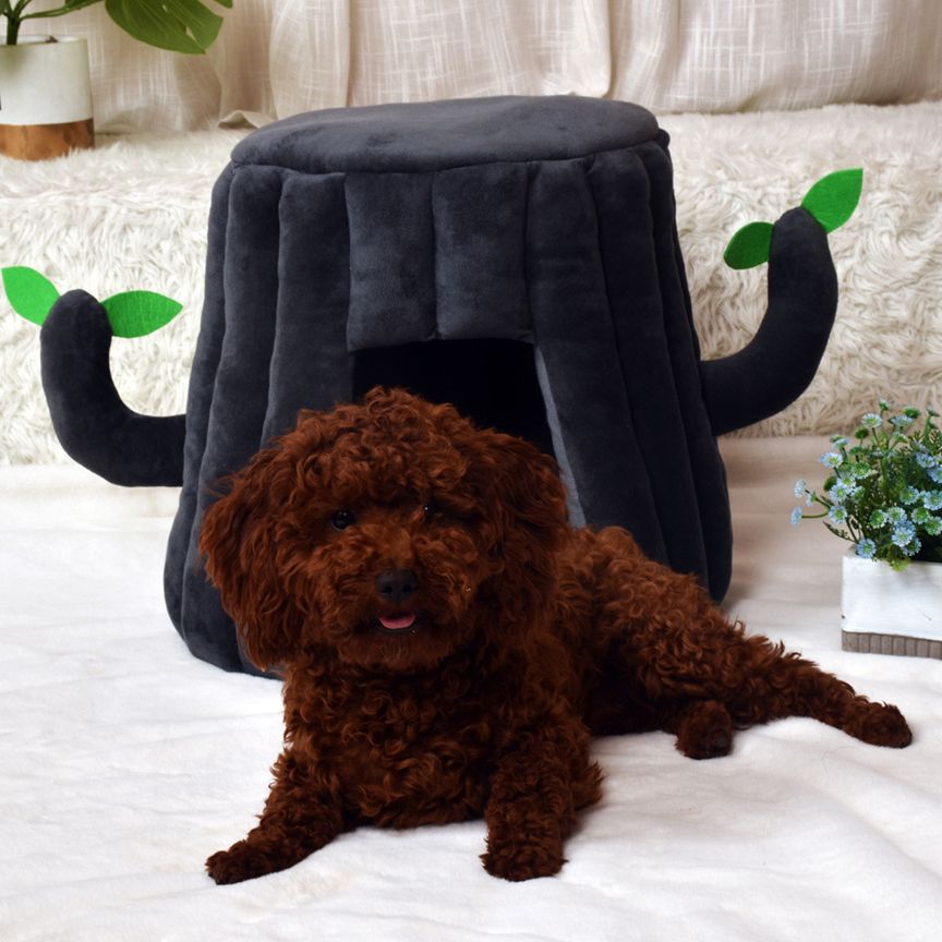 Enclosed Cat House Bed